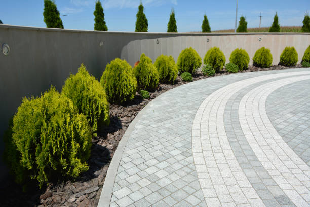 Best Commercial Driveway Paving in Worth, IL